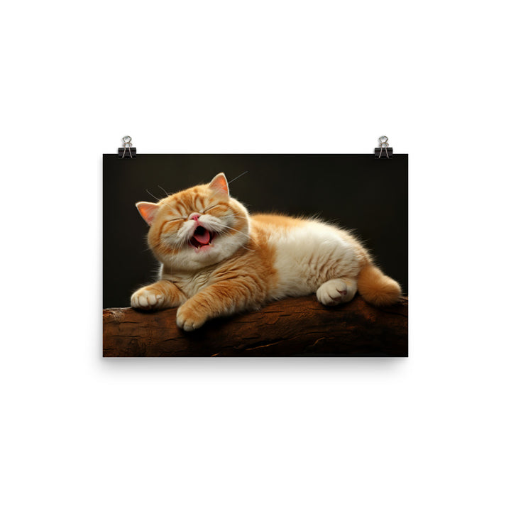 Exotic Shorthair Photo paper poster - PosterfyAI.com