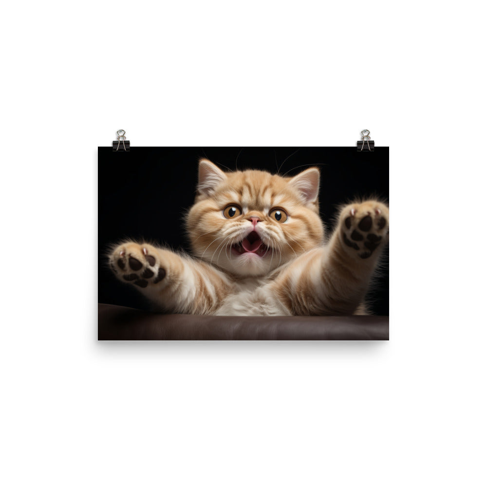Exotic Shorthair Photo paper poster - PosterfyAI.com