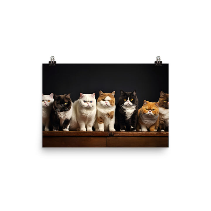 Exotic Shorthair Photo paper poster - PosterfyAI.com