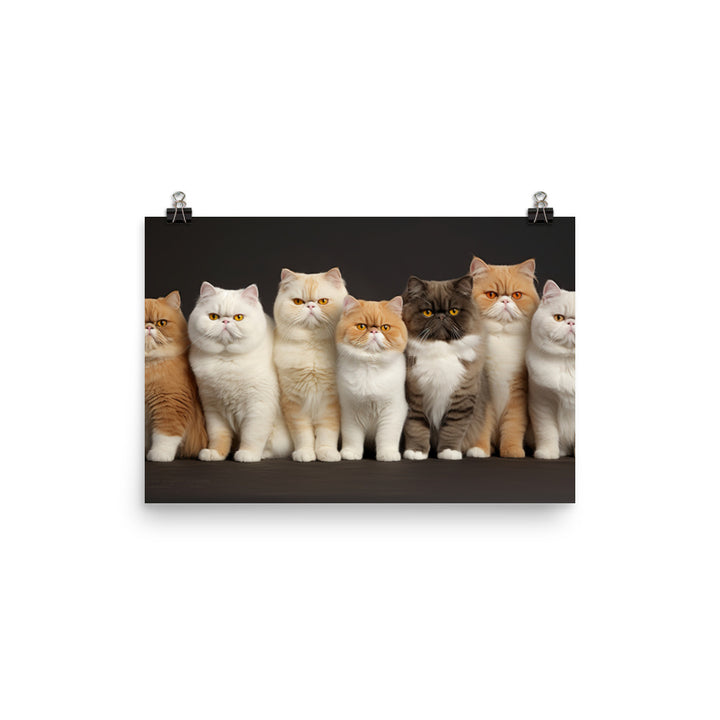 Exotic Shorthair Photo paper poster - PosterfyAI.com