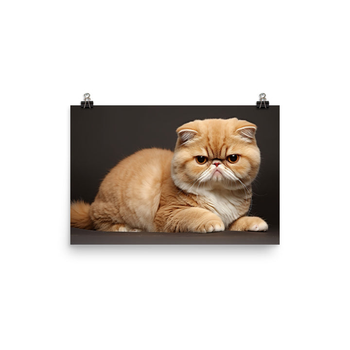 Exotic Shorthair Photo paper poster - PosterfyAI.com