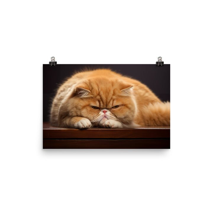 Exotic Shorthair Photo paper poster - PosterfyAI.com
