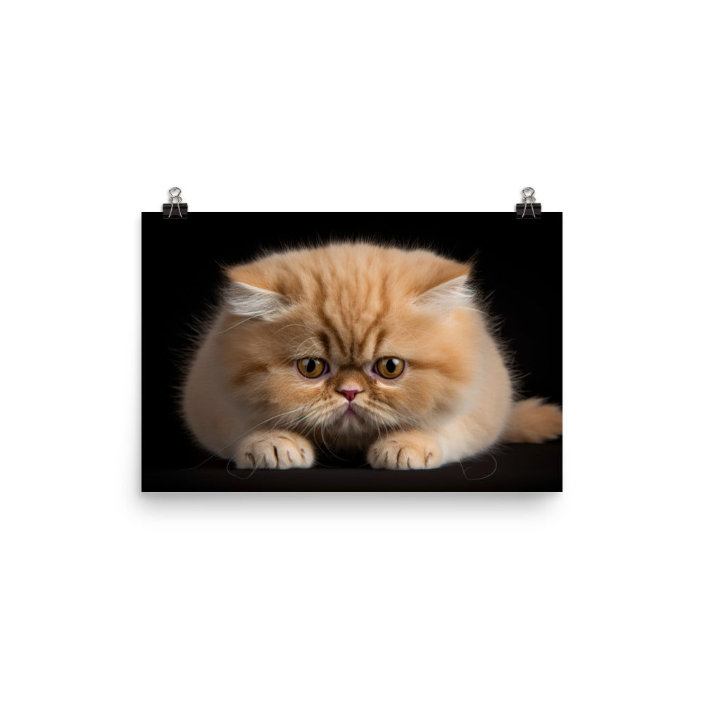 Exotic Shorthair Photo paper poster - PosterfyAI.com