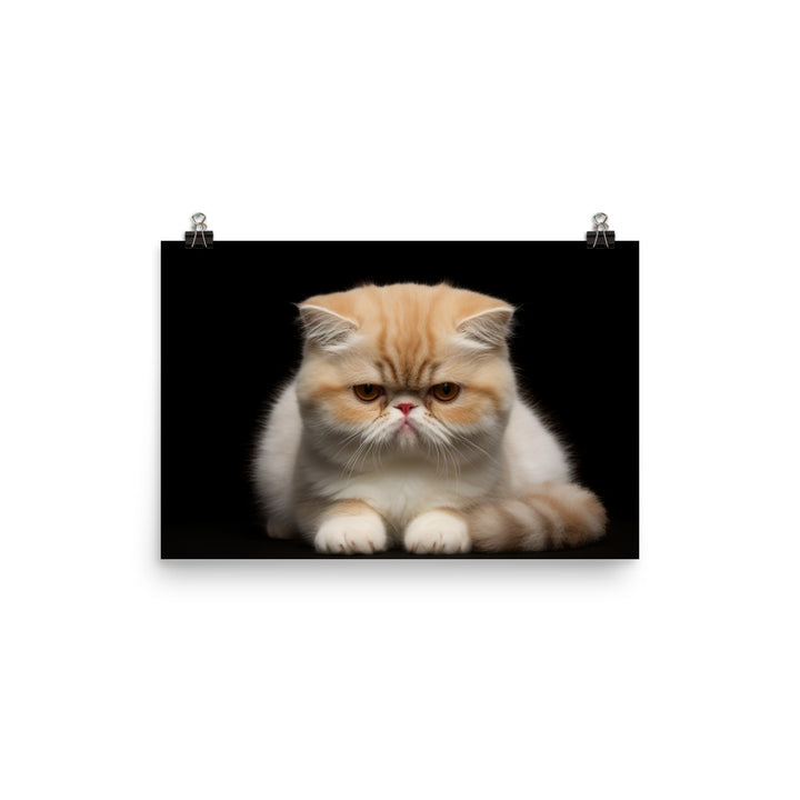 Exotic Shorthair Photo paper poster - PosterfyAI.com