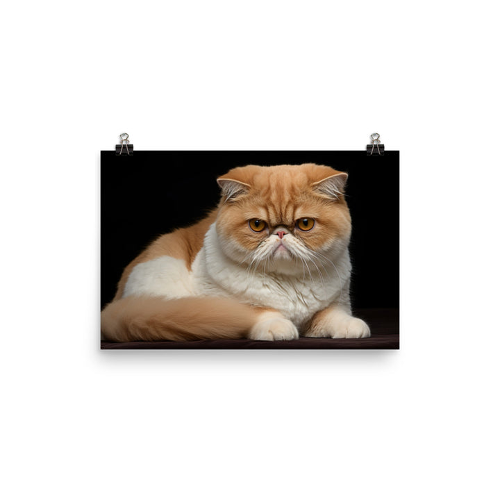 Exotic Shorthair Photo paper poster - PosterfyAI.com