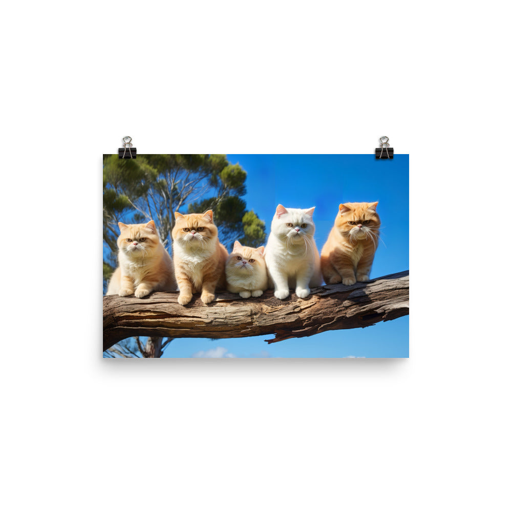 Exotic Shorthair Photo paper poster - PosterfyAI.com