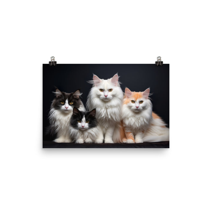 Turkish Van Photo paper poster - PosterfyAI.com
