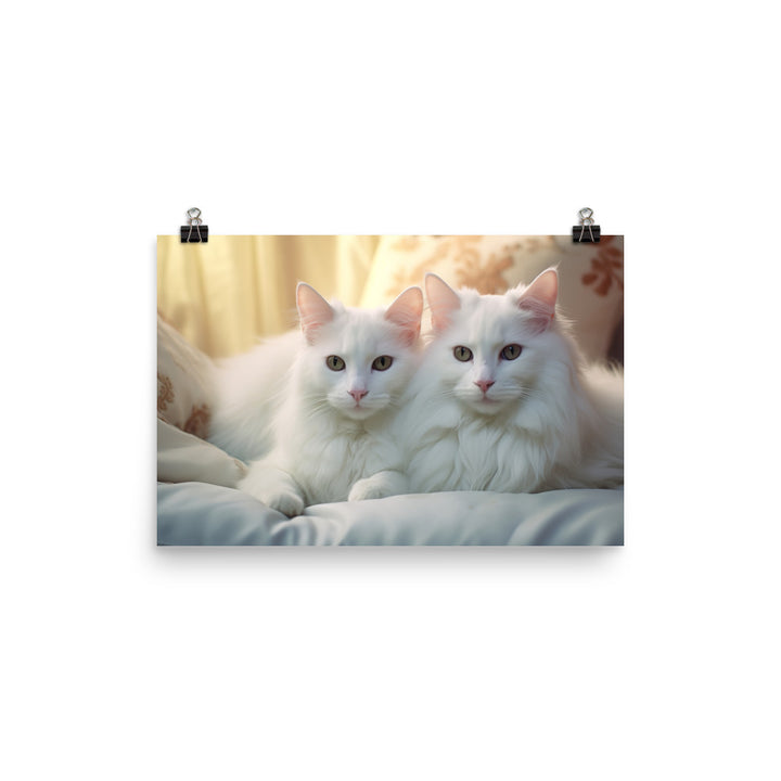 Turkish Van Photo paper poster - PosterfyAI.com