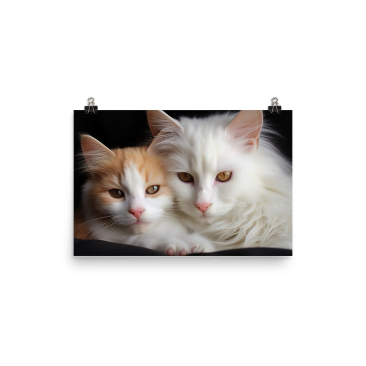 Turkish Van Photo paper poster - PosterfyAI.com