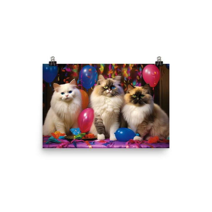 Ragdoll Photo paper poster - PosterfyAI.com