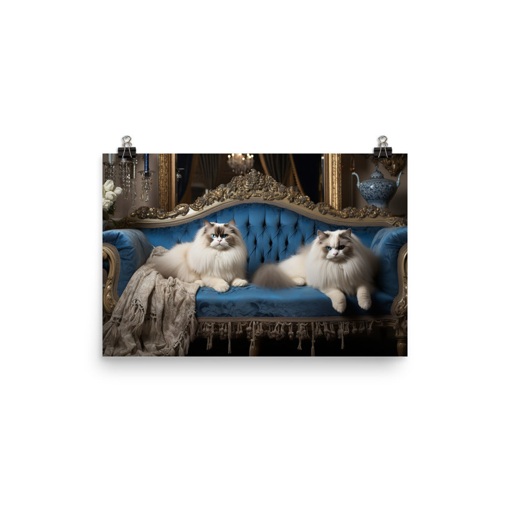Ragdoll Photo paper poster - PosterfyAI.com