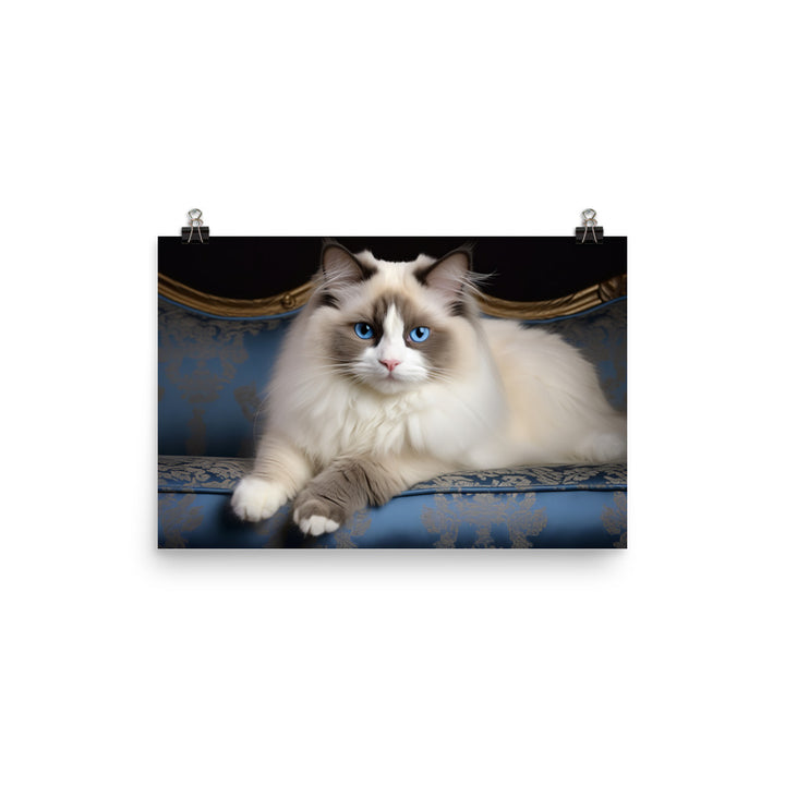 Ragdoll Photo paper poster - PosterfyAI.com