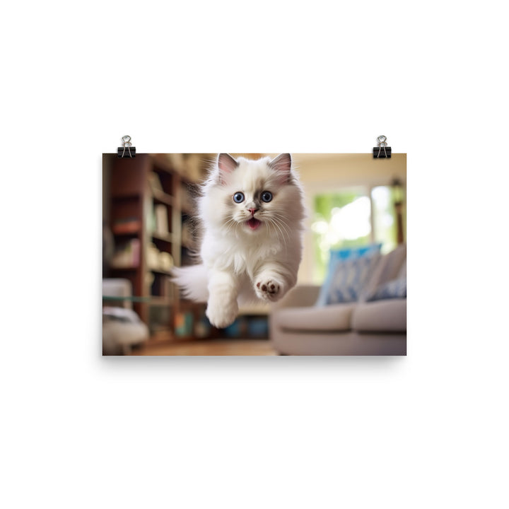Ragdoll Photo paper poster - PosterfyAI.com