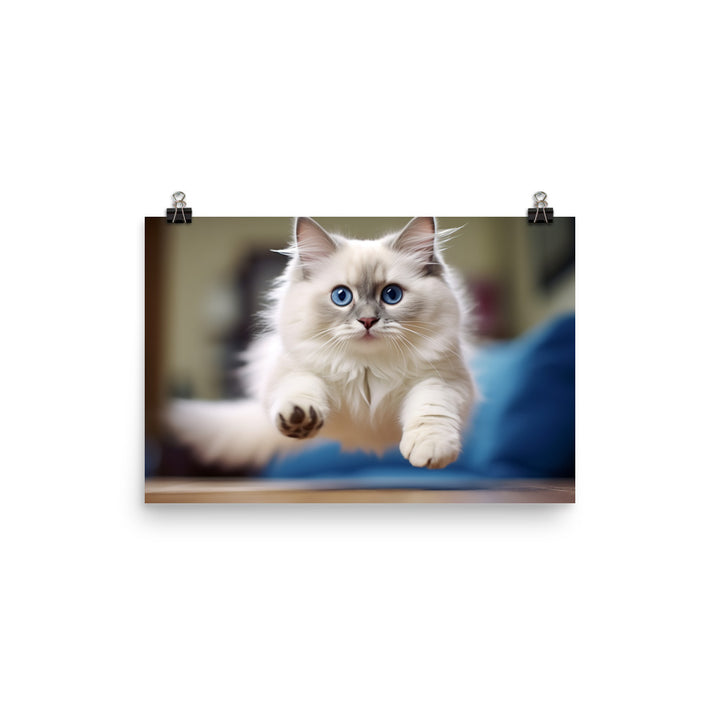 Ragdoll Photo paper poster - PosterfyAI.com