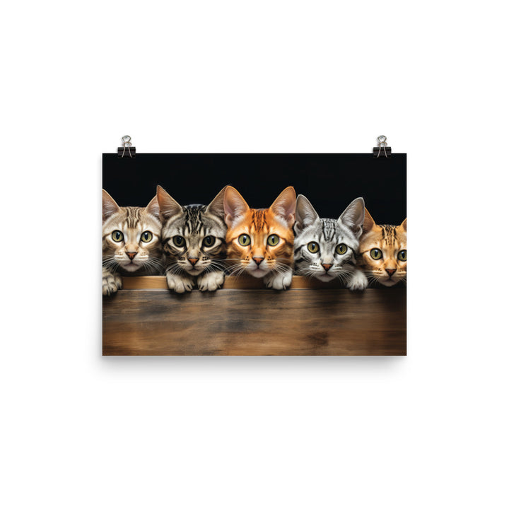 Ocicat Photo paper poster - PosterfyAI.com