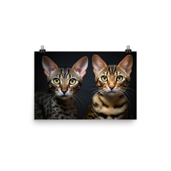 Ocicat Photo paper poster - PosterfyAI.com