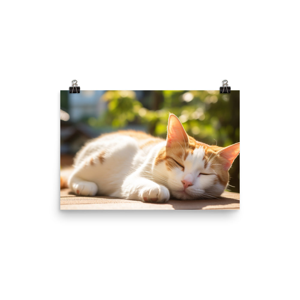 Japanese Bobtail Photo paper poster - PosterfyAI.com