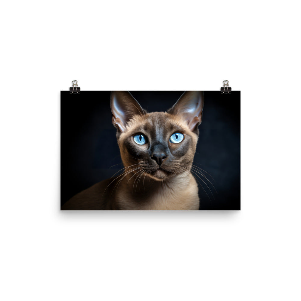 Tonkinese Photo paper poster - PosterfyAI.com