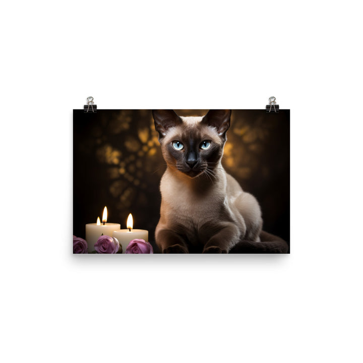 Tonkinese Photo paper poster - PosterfyAI.com
