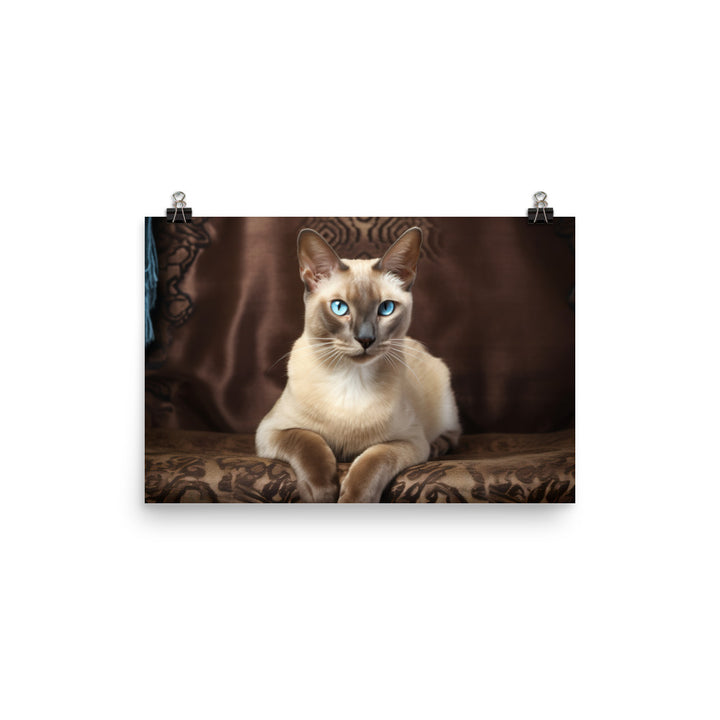 Tonkinese Photo paper poster - PosterfyAI.com