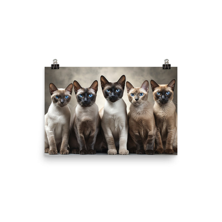 Tonkinese Photo paper poster - PosterfyAI.com