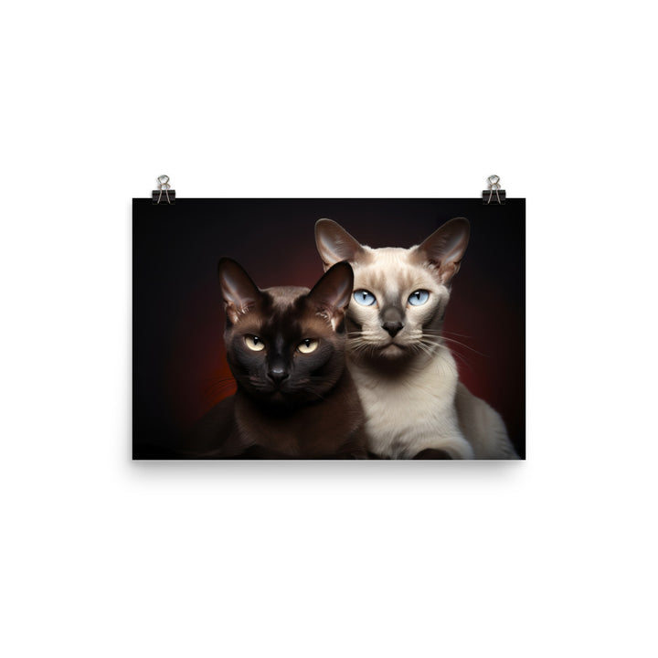 Tonkinese Photo paper poster - PosterfyAI.com
