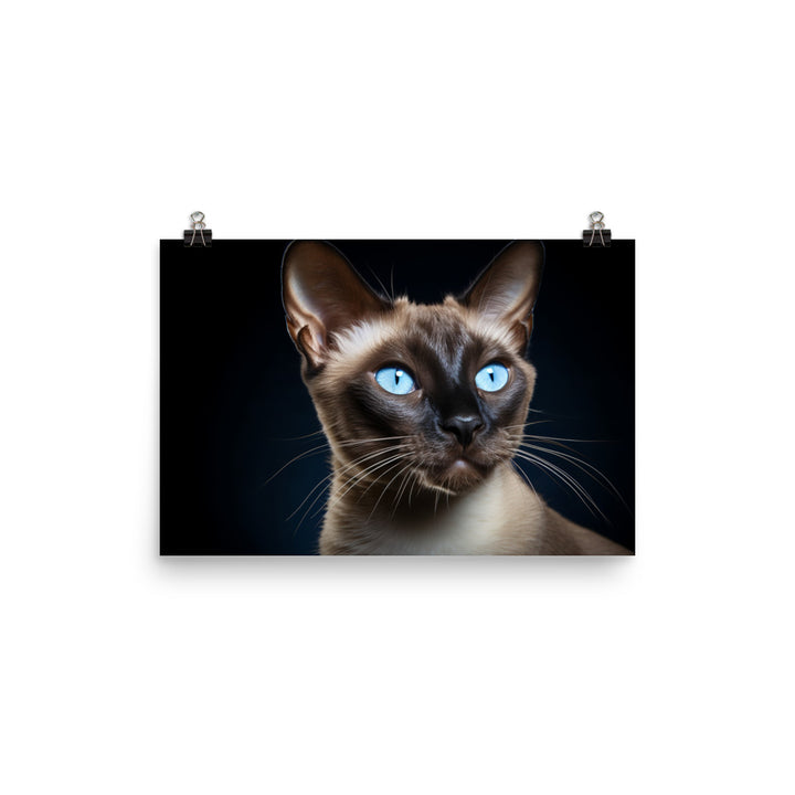 Tonkinese Photo paper poster - PosterfyAI.com