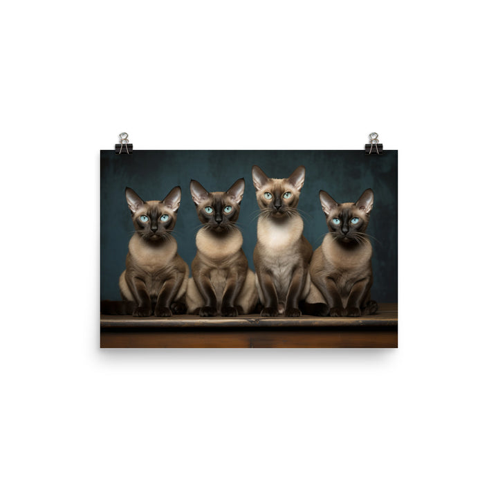 Tonkinese Photo paper poster - PosterfyAI.com