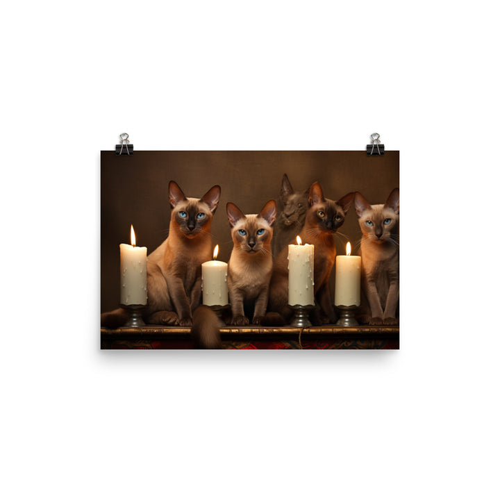 Tonkinese Photo paper poster - PosterfyAI.com