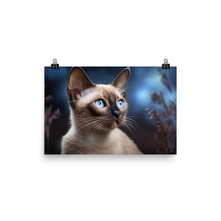 Tonkinese Photo paper poster - PosterfyAI.com