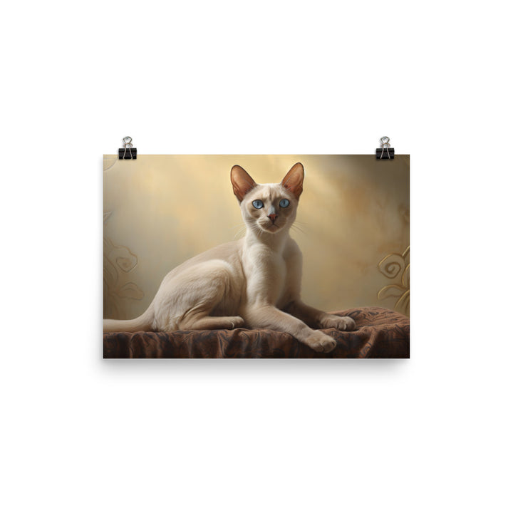 Tonkinese Photo paper poster - PosterfyAI.com