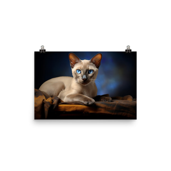 Tonkinese Photo paper poster - PosterfyAI.com
