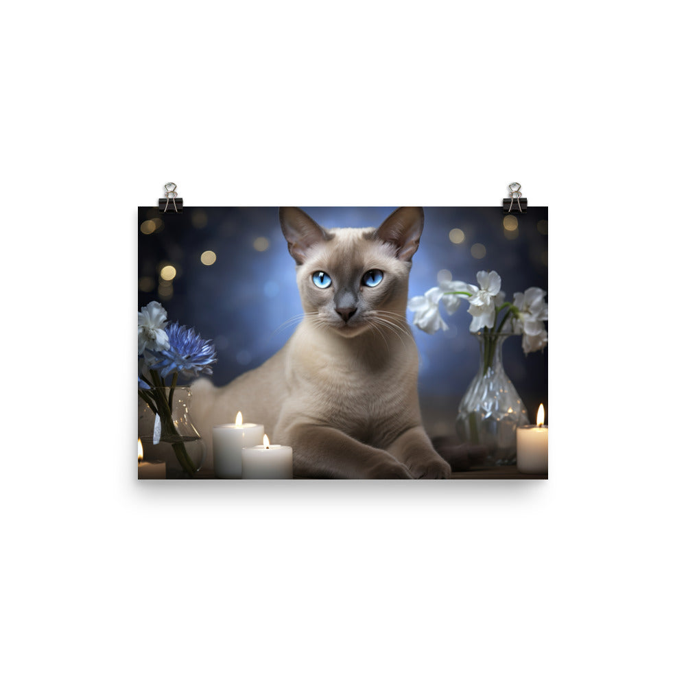 Tonkinese Photo paper poster - PosterfyAI.com