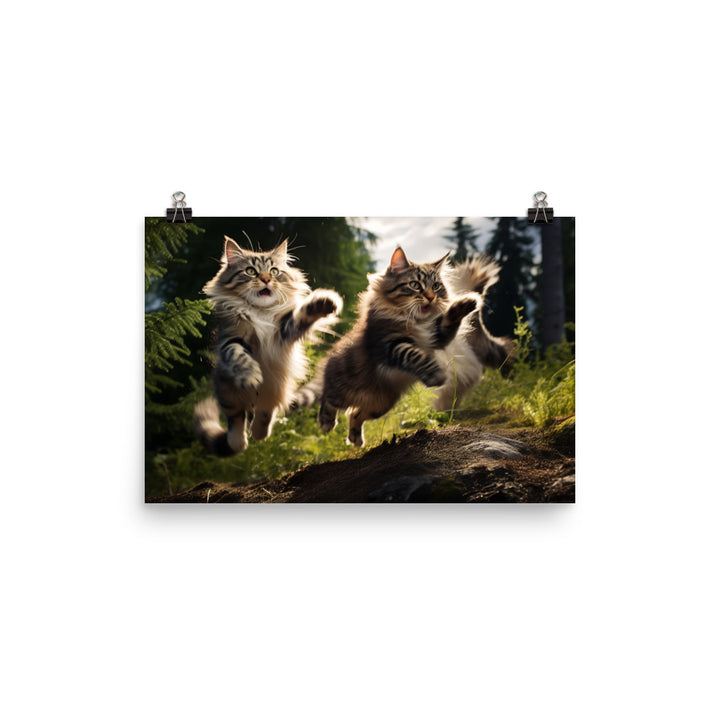 Norwegian Forest Photo paper poster - PosterfyAI.com