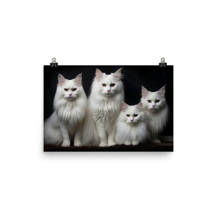 Turkish Angora Photo paper poster - PosterfyAI.com