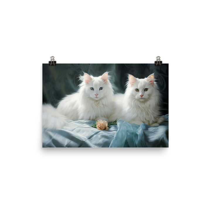 Turkish Angora Photo paper poster - PosterfyAI.com