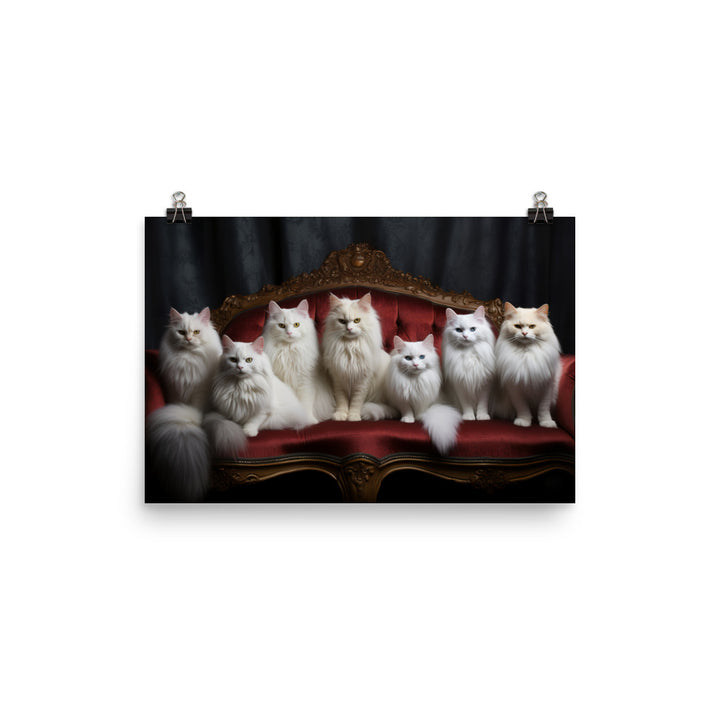 Turkish Angora Photo paper poster - PosterfyAI.com