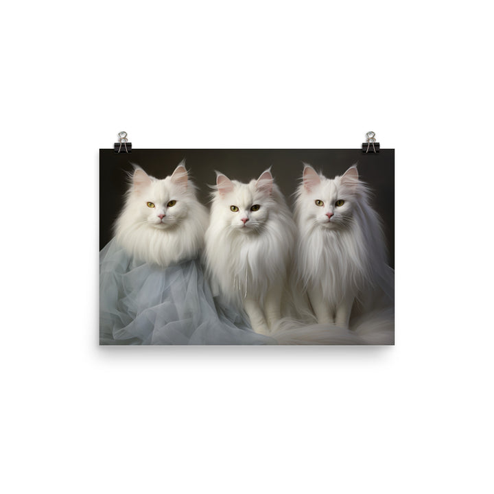 Turkish Angora Photo paper poster - PosterfyAI.com