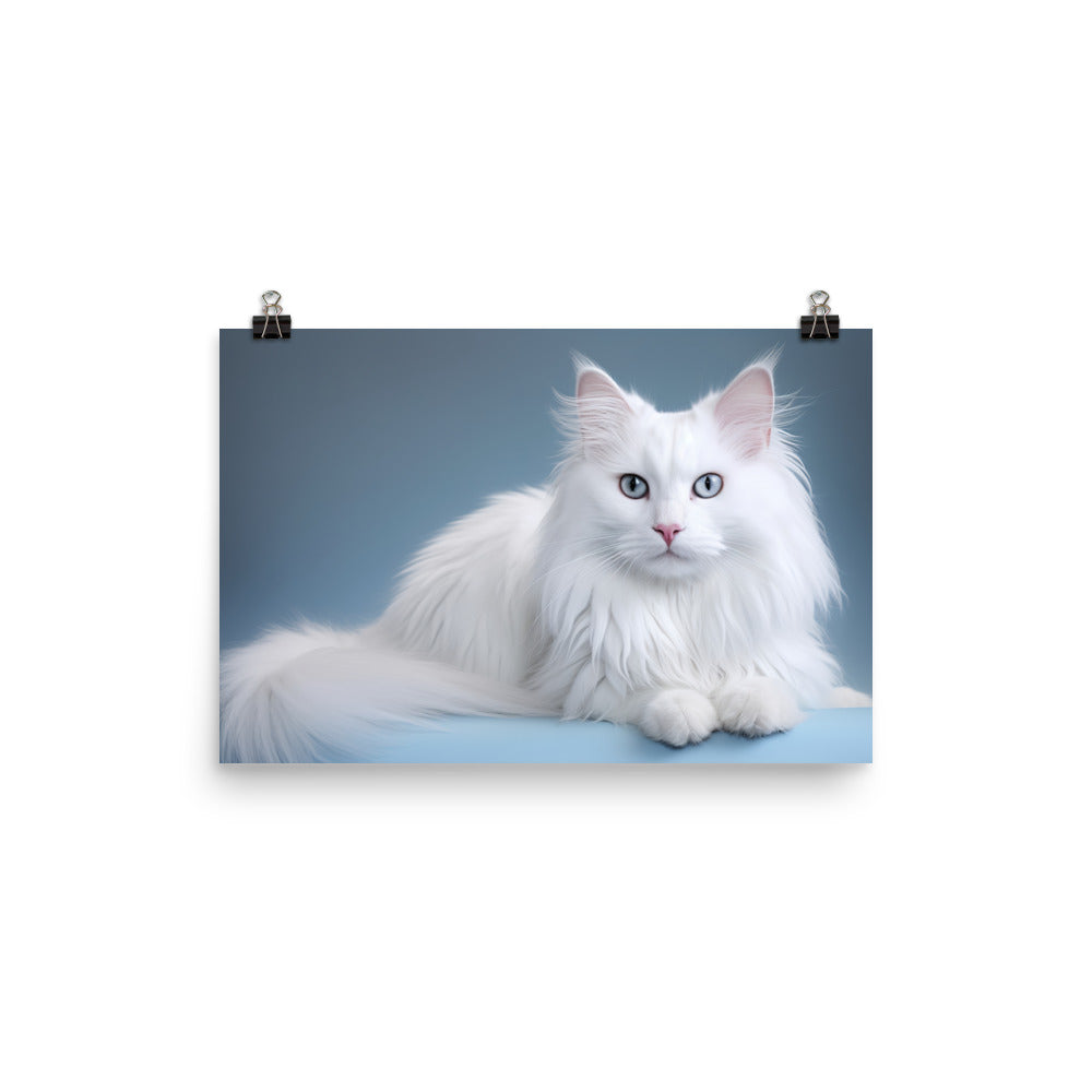 Turkish Angora Photo paper poster - PosterfyAI.com