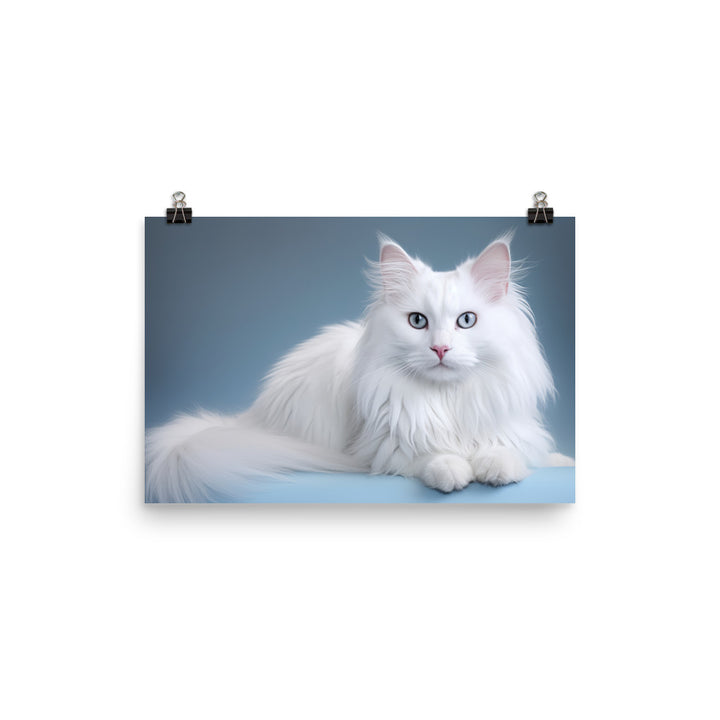 Turkish Angora Photo paper poster - PosterfyAI.com