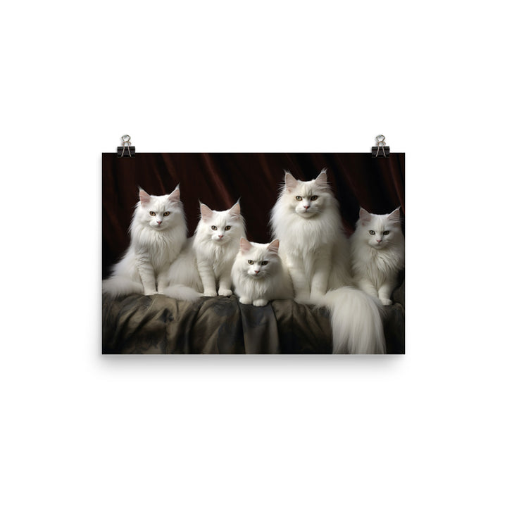 Turkish Angora Photo paper poster - PosterfyAI.com