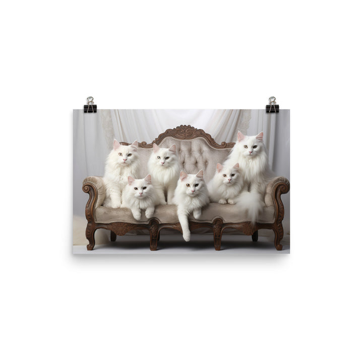 Turkish Angora Photo paper poster - PosterfyAI.com