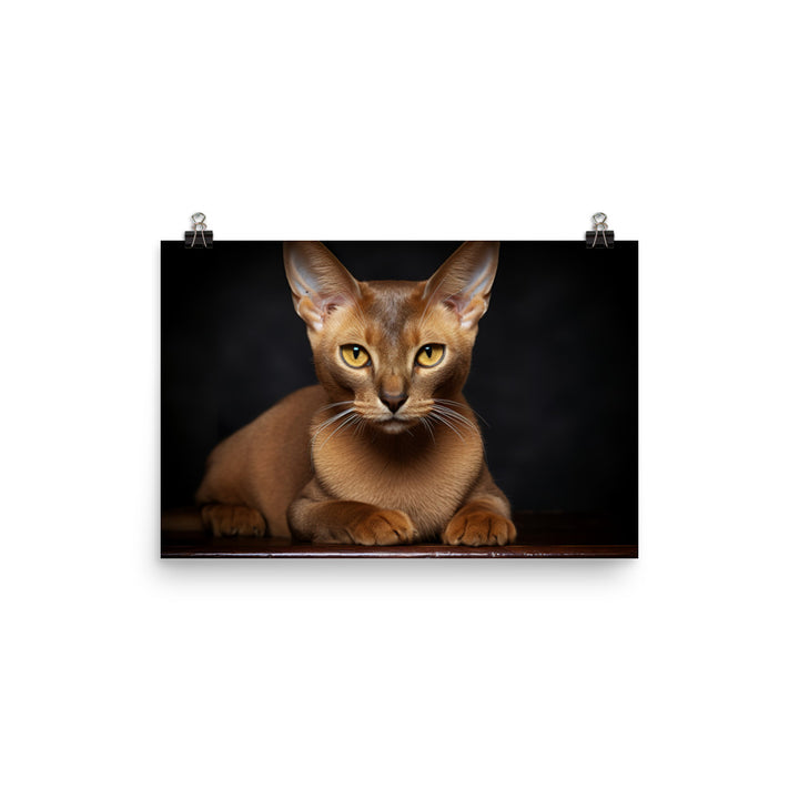 Burmese Photo paper poster - PosterfyAI.com