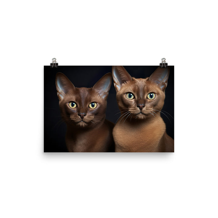 Burmese Photo paper poster - PosterfyAI.com