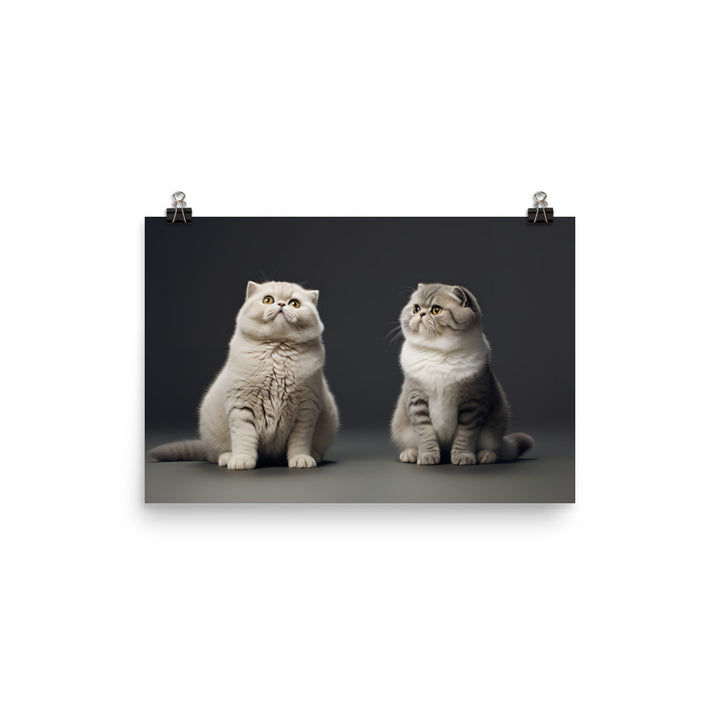 Scottish Fold Photo paper poster - PosterfyAI.com