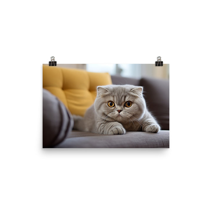 Scottish Fold Photo paper poster - PosterfyAI.com