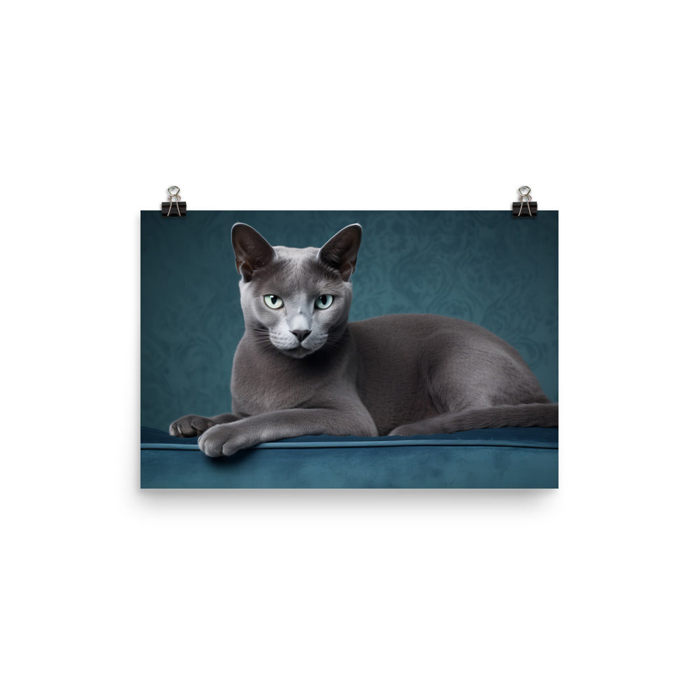 Russian Blue Photo paper poster - PosterfyAI.com