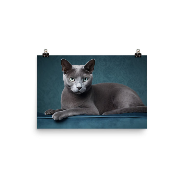 Russian Blue Photo paper poster - PosterfyAI.com