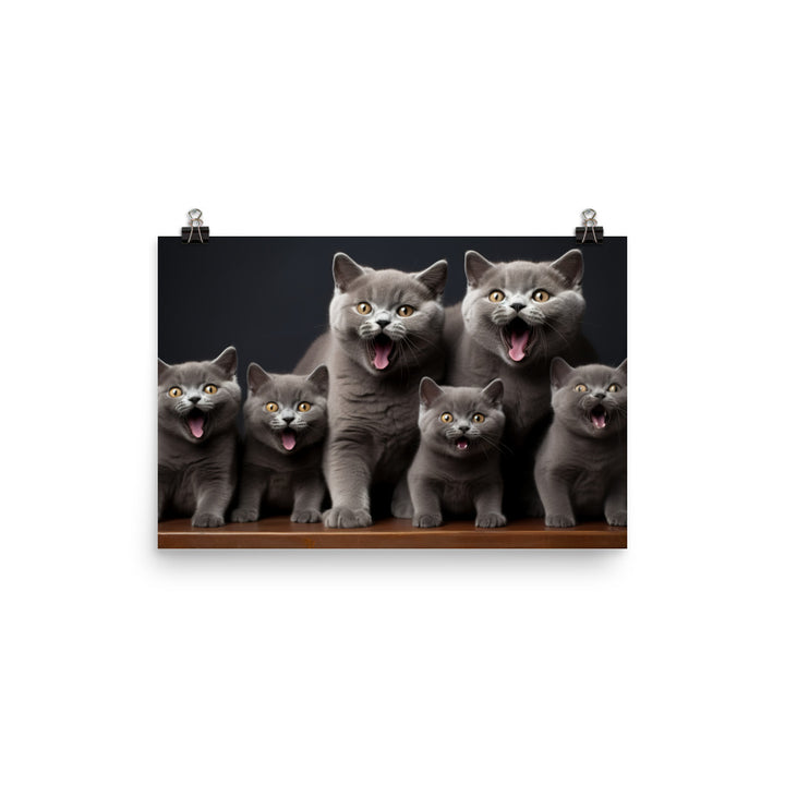 British Shorthair Photo paper poster - PosterfyAI.com