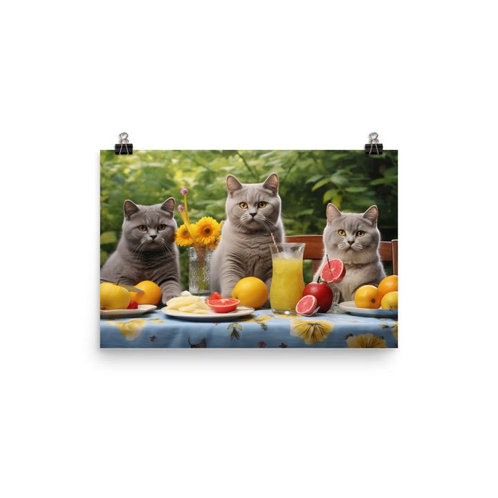 British Shorthair Photo paper poster - PosterfyAI.com